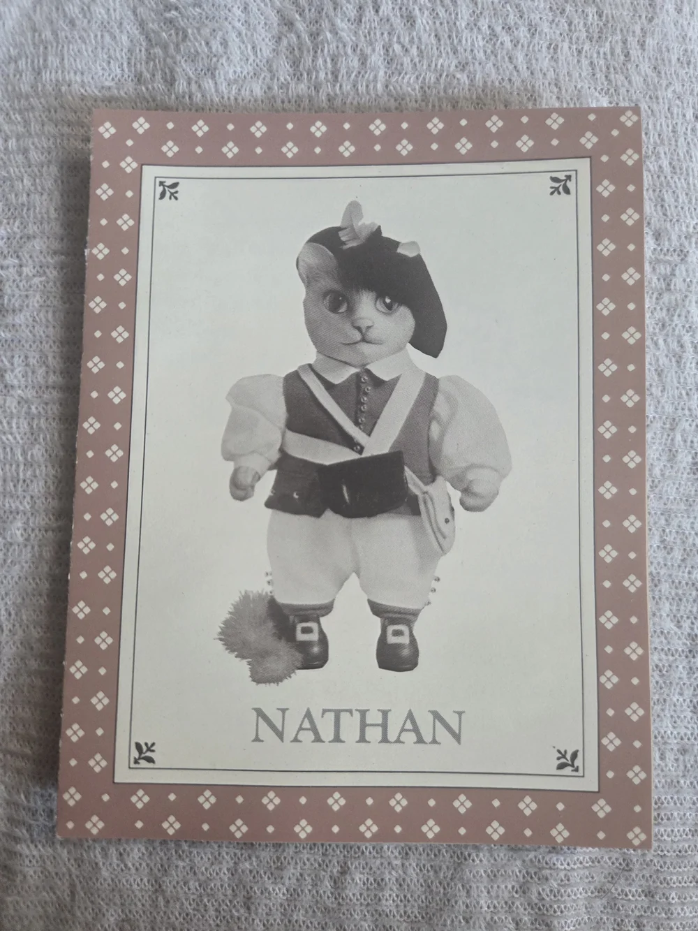 Franklin Mint Country Cats Missing Poster For Nathan And Julia And Her Flute
